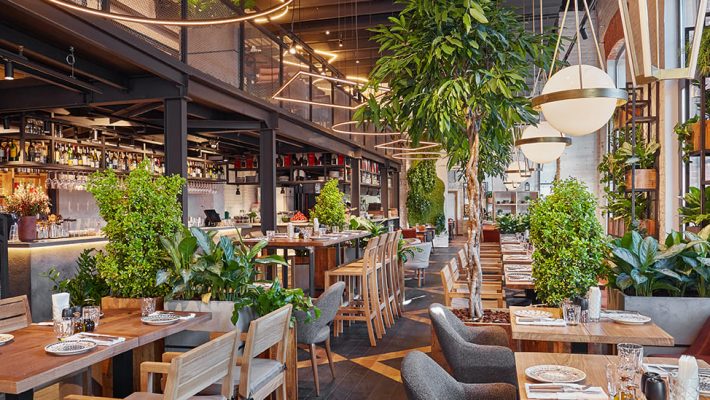 Novikov Group рестораны